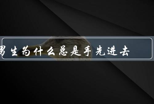男生为什么总是手先进去