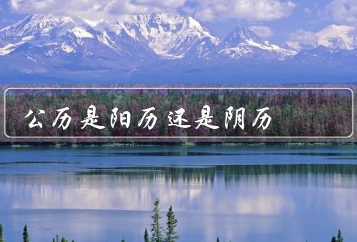 公历是阳历还是阴历