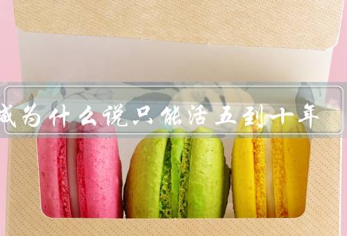 甲减为什么说只能活五到十年