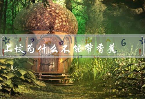 上坟为什么不能带香蕉