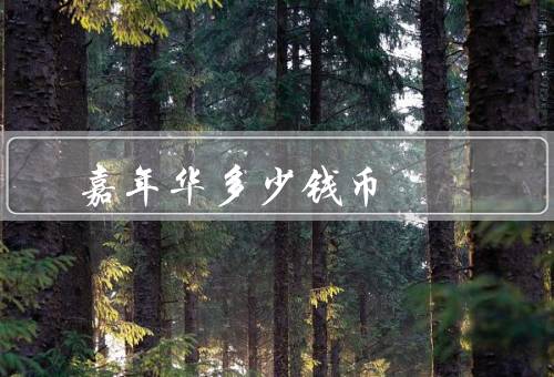 嘉年华多少钱币，嘉年华主播能拿多少钱（换算币3千元）