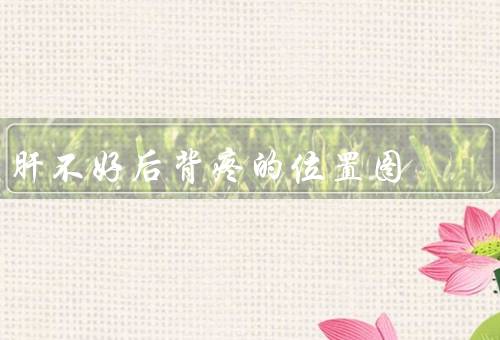 肝不好后背疼的位置图