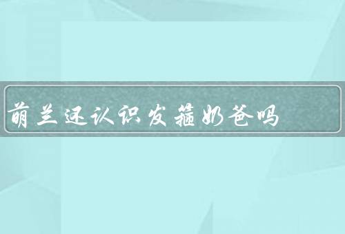 萌兰还认识发箍奶爸吗