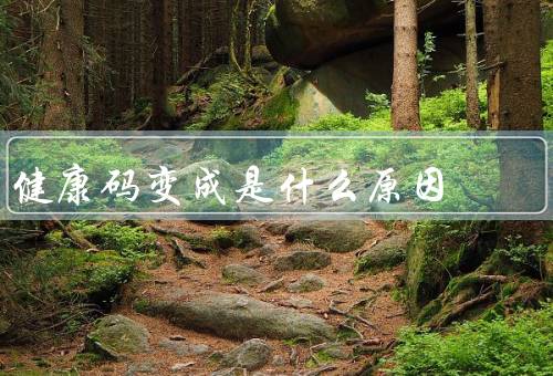健康码变成是什么原因