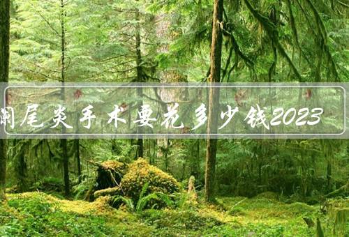 做阑尾炎手术要花多少钱2023