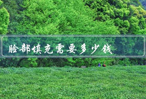 脸部填充需要多少钱