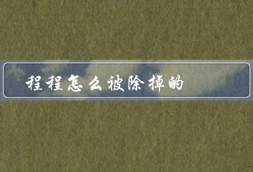 程程怎么被除掉的