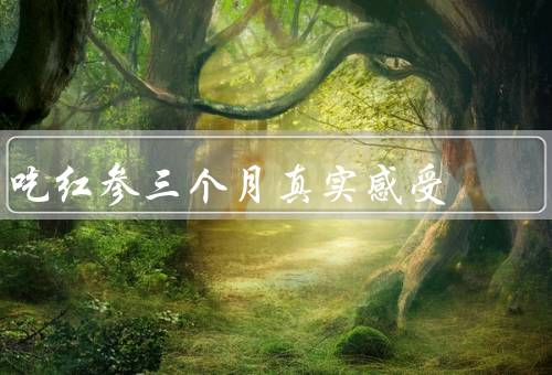 吃红参三个月真实感受