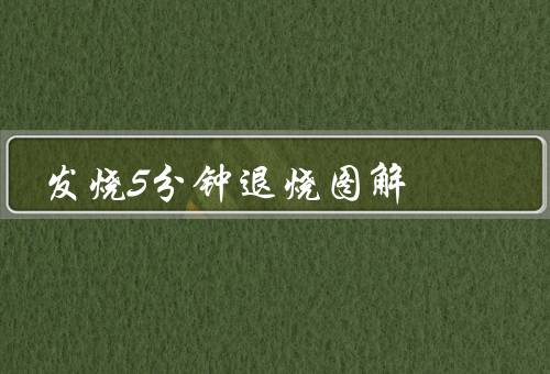 发烧5分钟退烧图解