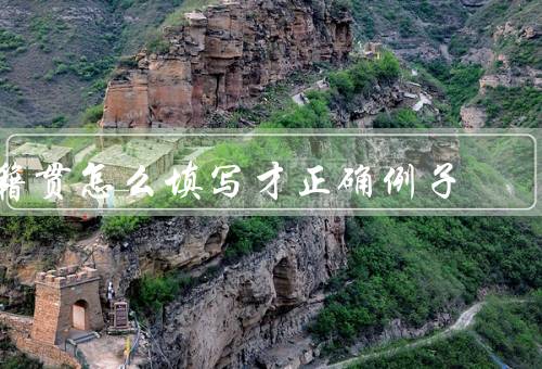 籍贯怎么填写才正确例子