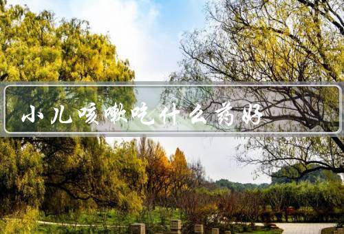 小儿咳嗽吃什么药好