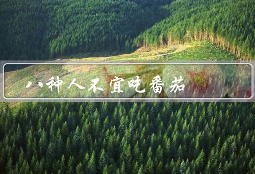 八种人不宜吃番茄
