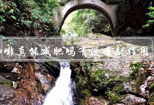黑咖啡真能减肥吗有没有副作用
