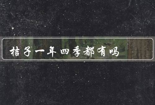 桔子一年四季都有吗