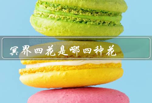 冥界四花是哪四种花