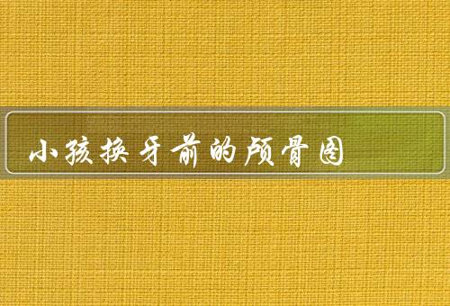 小孩换牙前的颅骨图