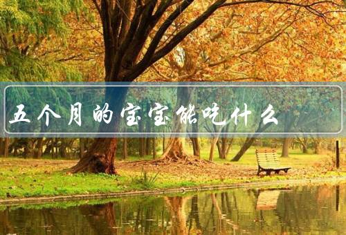 五个月的宝宝能吃什么