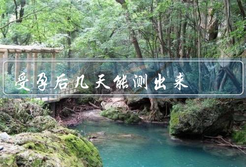受孕后几天能测出来