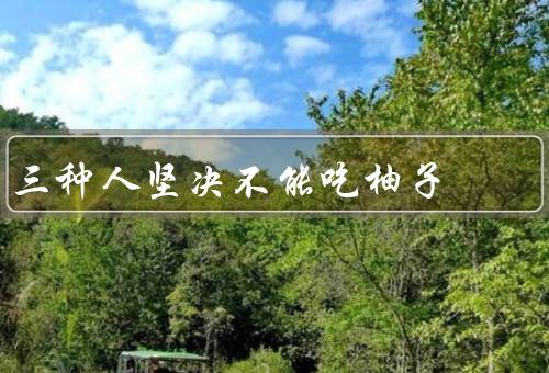 三种人坚决不能吃柚子
