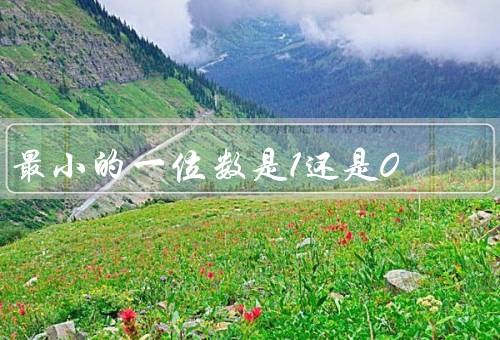 最小的一位数是1还是0