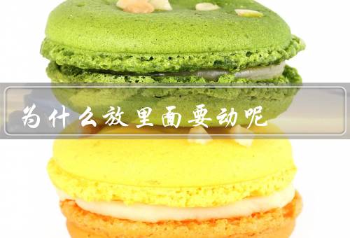 为什么放里面要动呢