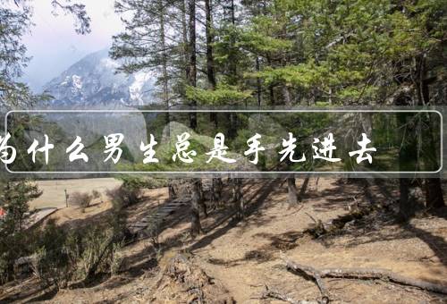 为什么男生总是手先进去
