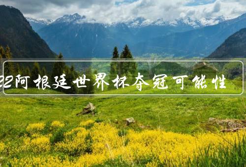 2022阿根廷世界杯夺冠可能性