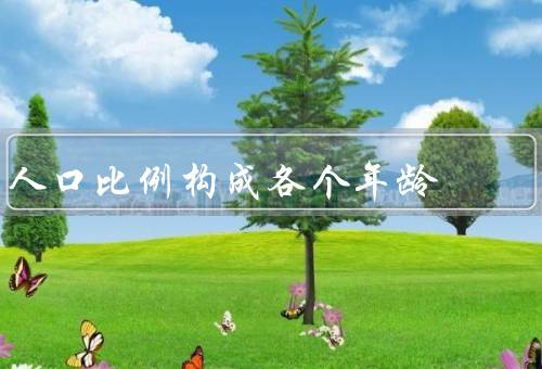人口比例构成各个年龄