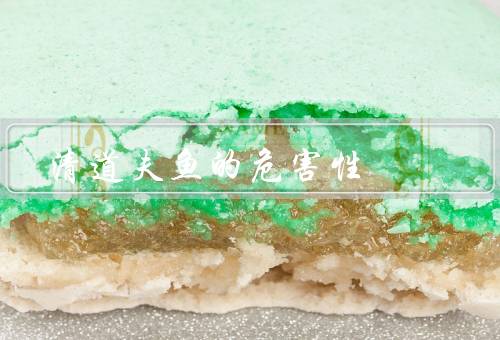 清道夫鱼的危害性