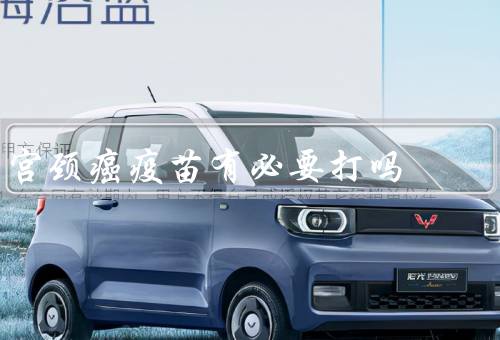 宫颈癌疫苗有必要打吗