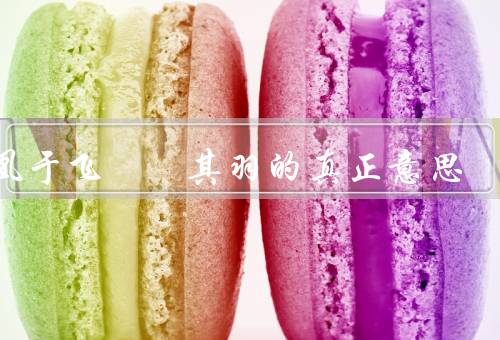 凤凰于飞翙翙其羽的真正意思