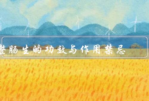 整肠生的功效与作用禁忌