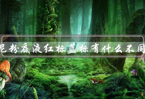 阿玛尼粉底液红标蓝标有什么不同