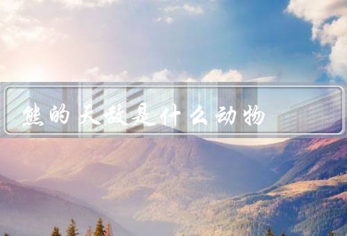 熊的天敌是什么动物