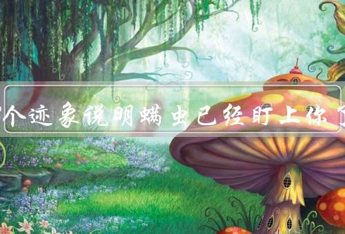 床上4个迹象说明螨虫已经盯上你了