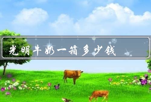 光明牛奶一箱多少钱