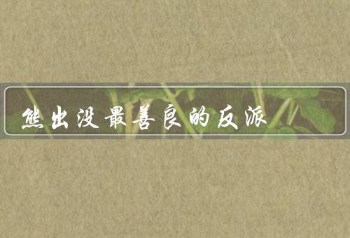 熊出没最善良的反派