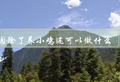 庄园除了养小鸡还可以做什么