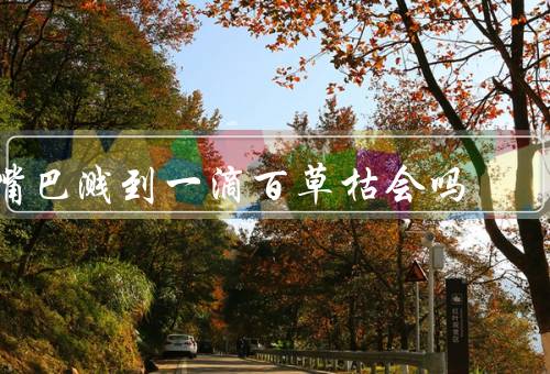 嘴巴溅到一滴百草枯会吗