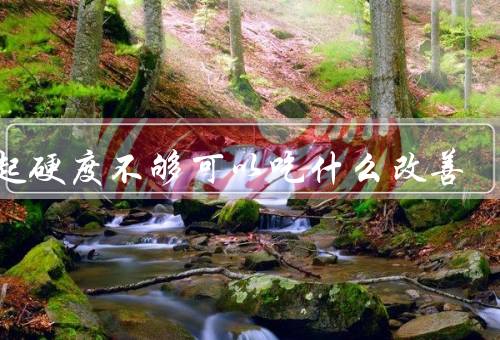 勃起硬度不够可以吃什么改善