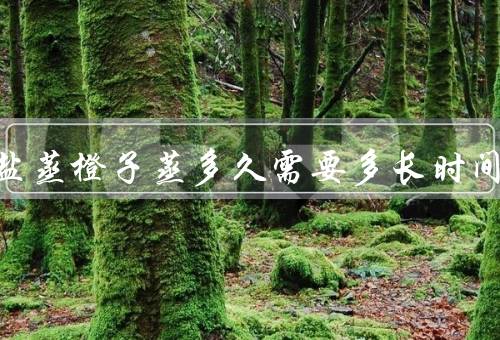 止咳盐蒸橙子蒸多久需要多长时间