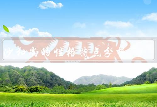 沙和尚的性格特点分析