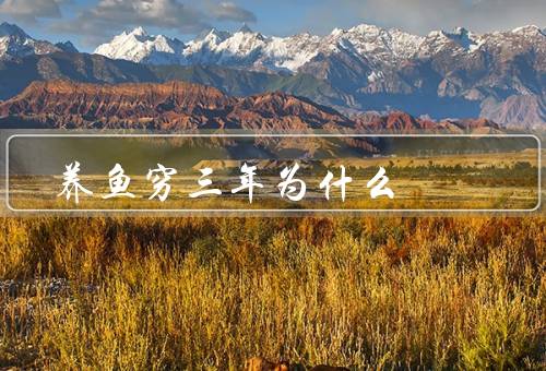 养鱼穷三年为什么