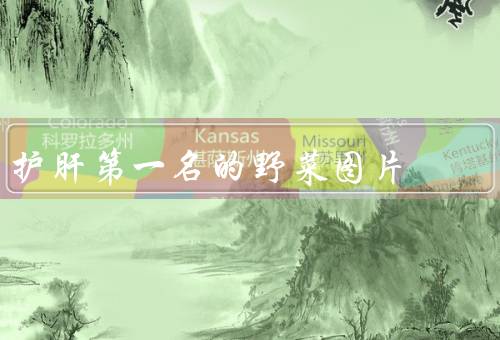 护肝第一名的野菜图片