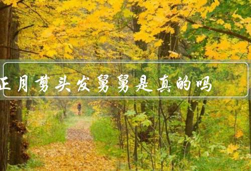正月剪头发舅舅是真的吗