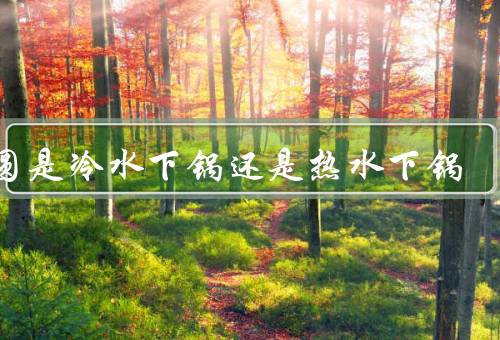 汤圆是冷水下锅还是热水下锅