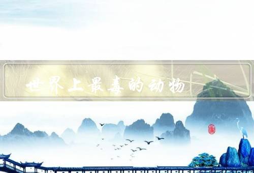 世界上最毒的动物