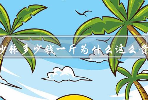 正宗沙棘多少钱一斤为什么这么贵