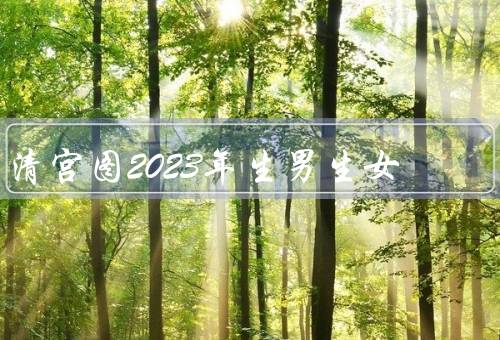 清宫图2023年生男生女