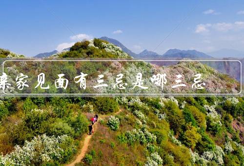亲家见面有三忌是哪三忌